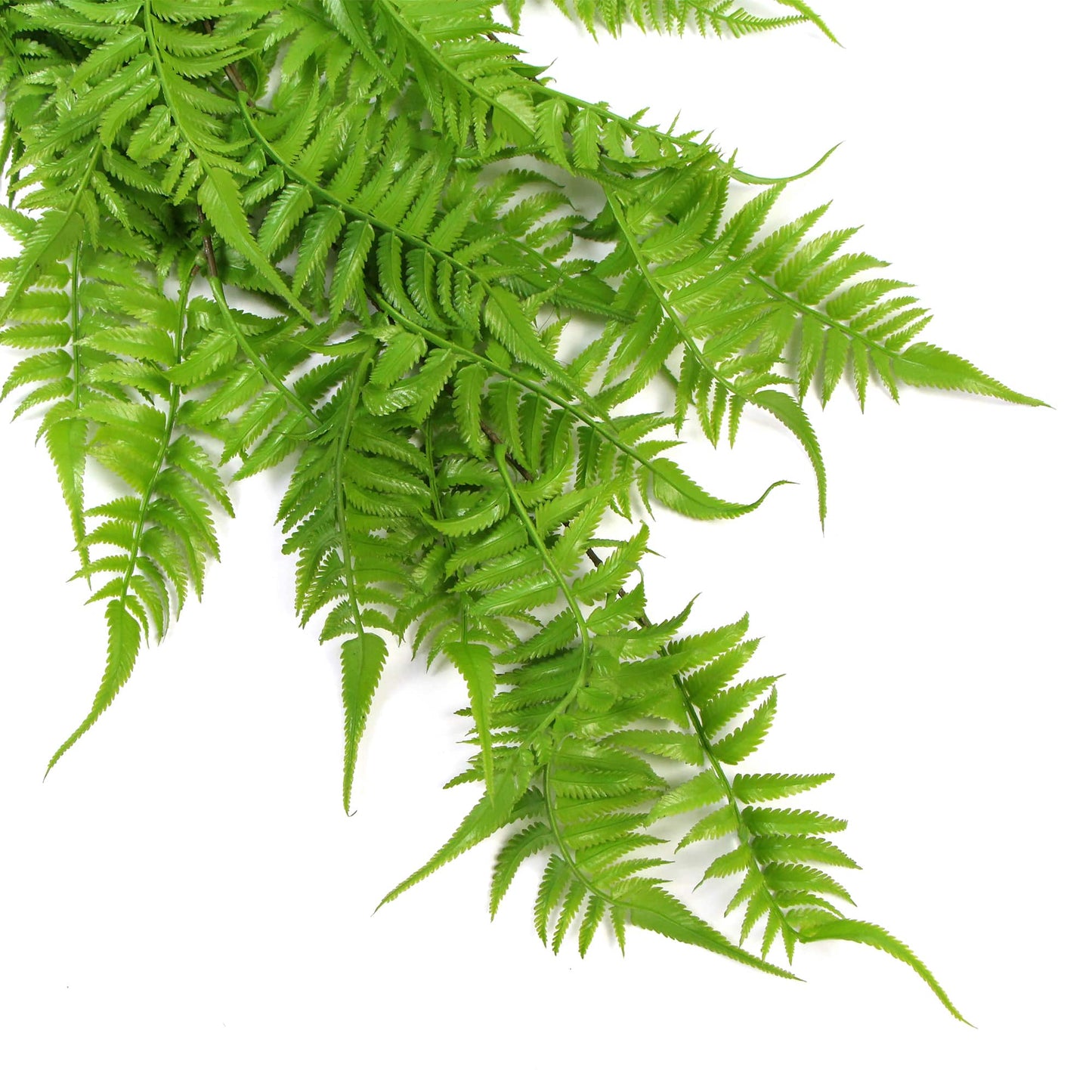 Artificial Hanging English Fern (Two-Tone) Foliage UV Resistant 80cm Home & Garden > Home & Garden Others ArtificialPlantBarn.com.au 