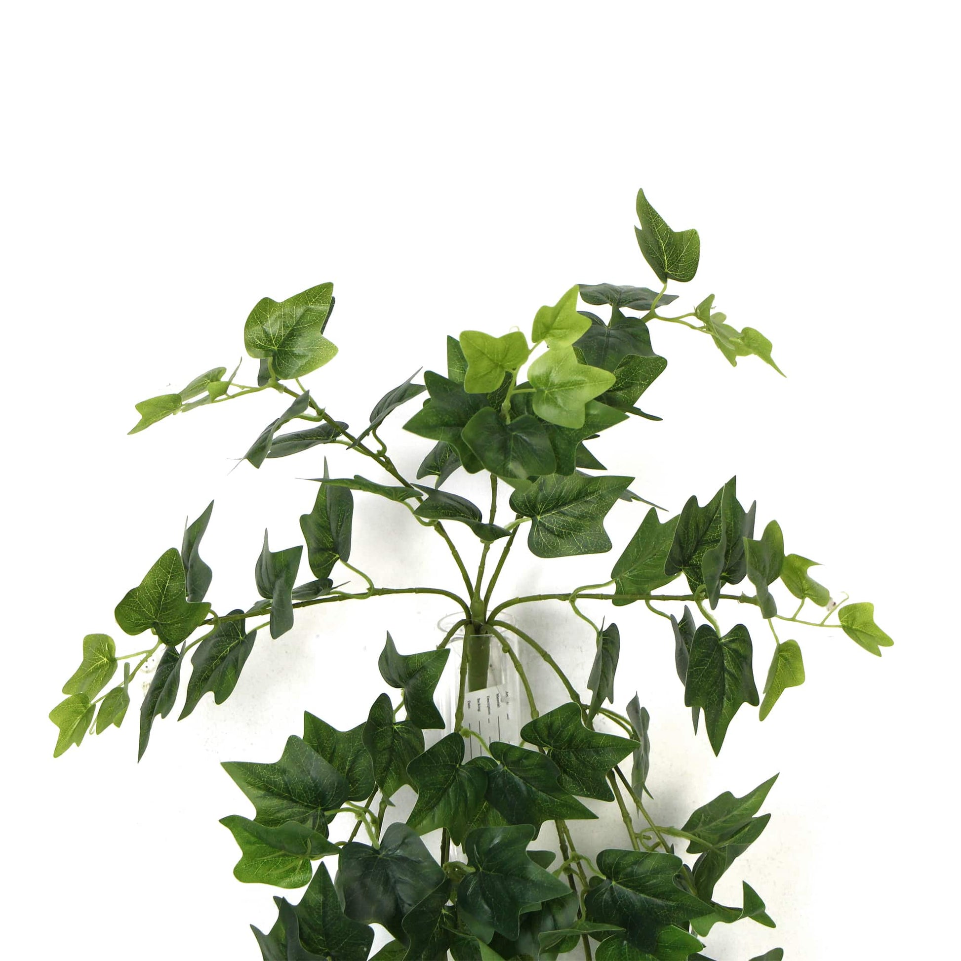 Artificial Nearly Natural Artificial Hanging Ivy Bush 90cm Home & Garden > Artificial Plants ArtificialPlantBarn.com.au 