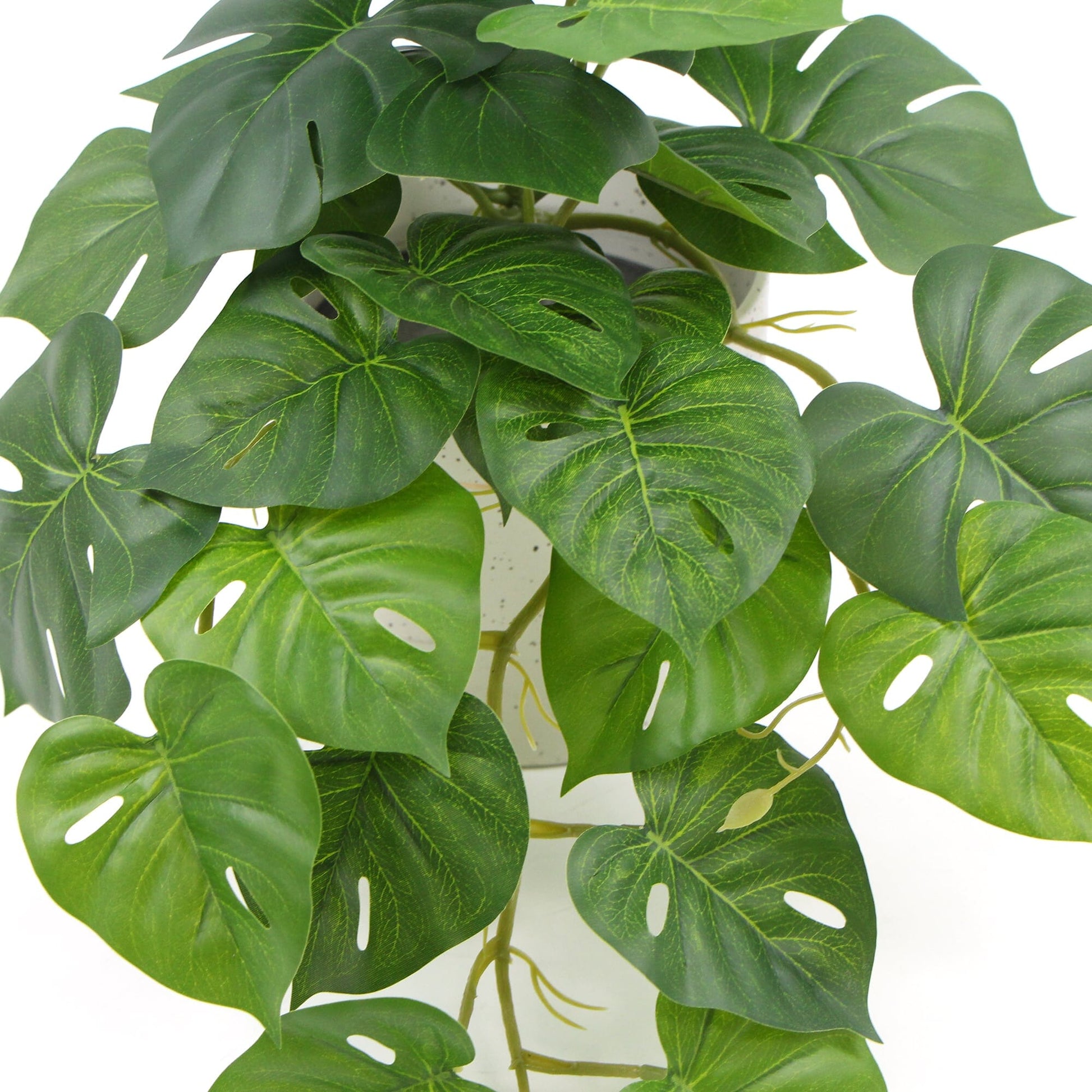 Decorative Ceramic Bowl Potted Artificial Monstera Plant 30cm Home & Garden > Artificial Plants ArtificialPlantBarn.com.au 