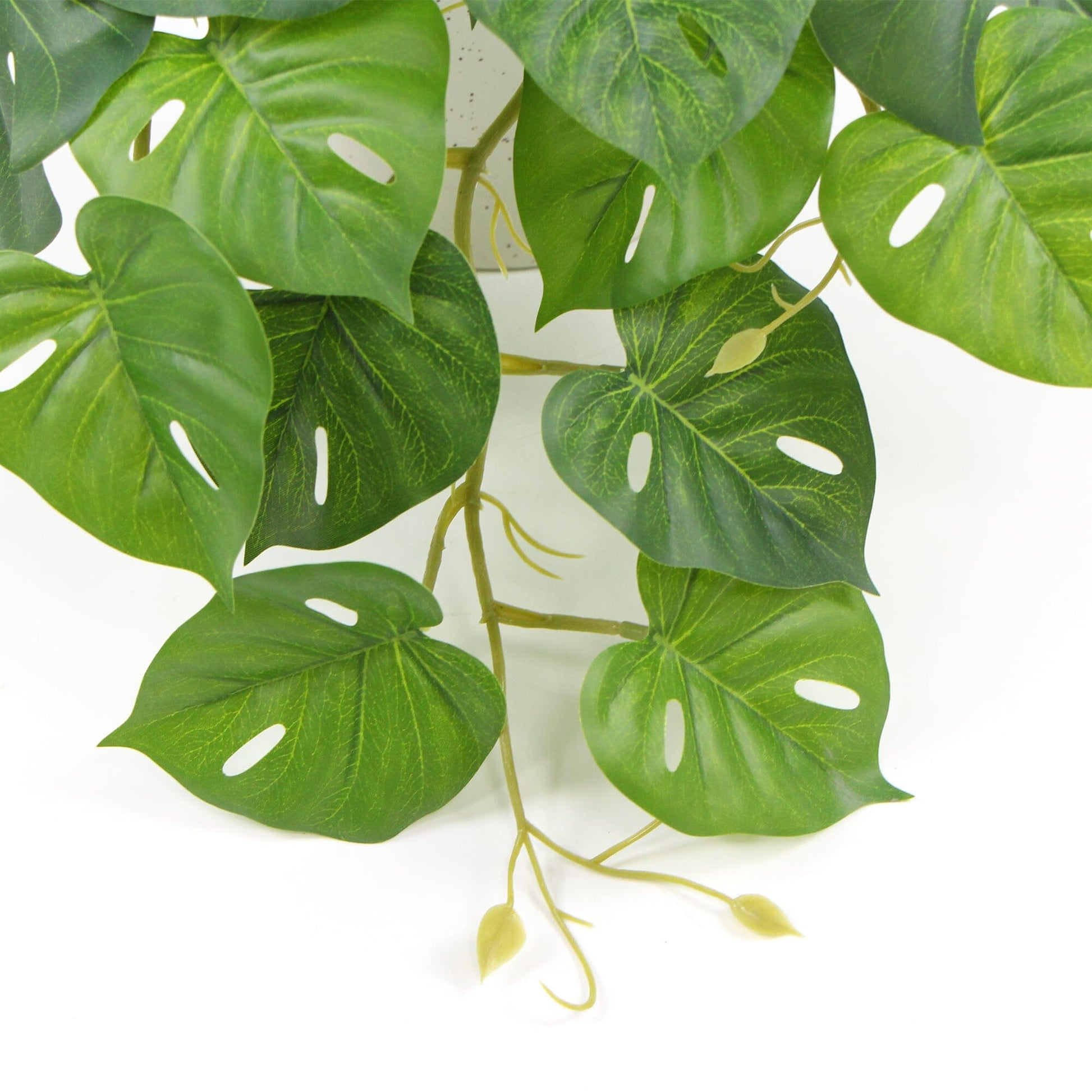 Decorative Ceramic Bowl Potted Artificial Monstera Plant 30cm Home & Garden > Artificial Plants ArtificialPlantBarn.com.au 