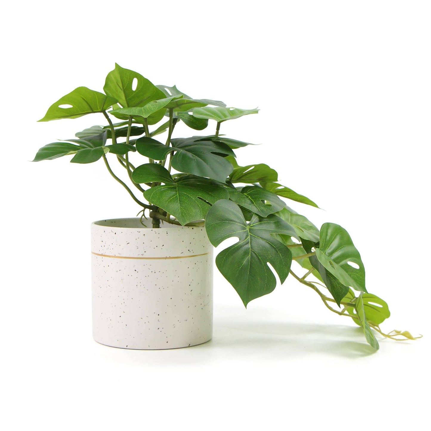 Decorative Ceramic Bowl Potted Artificial Monstera Plant 30cm Home & Garden > Artificial Plants ArtificialPlantBarn.com.au 