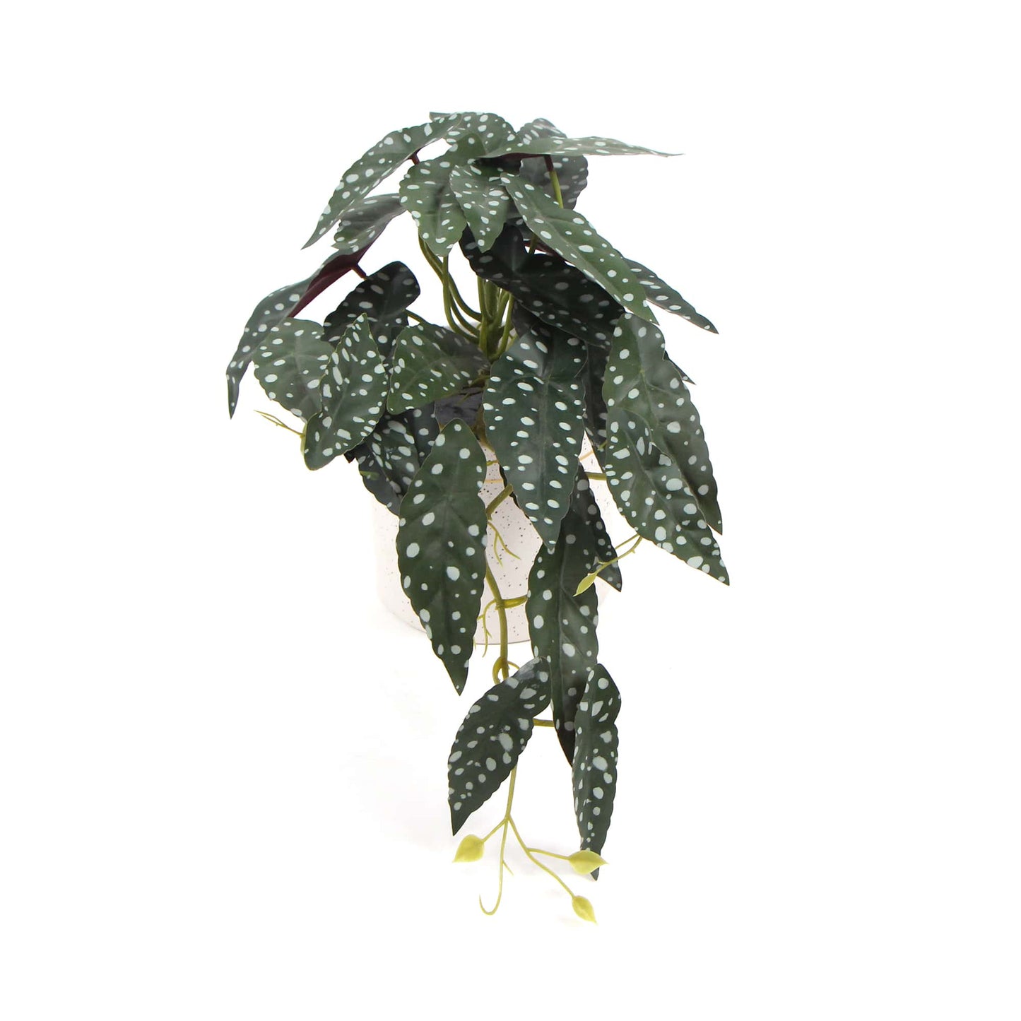 Artificial Bergonia Plant In Decorative Bowl 30cm Home & Garden > Artificial Plants ArtificialPlantBarn.com.au 