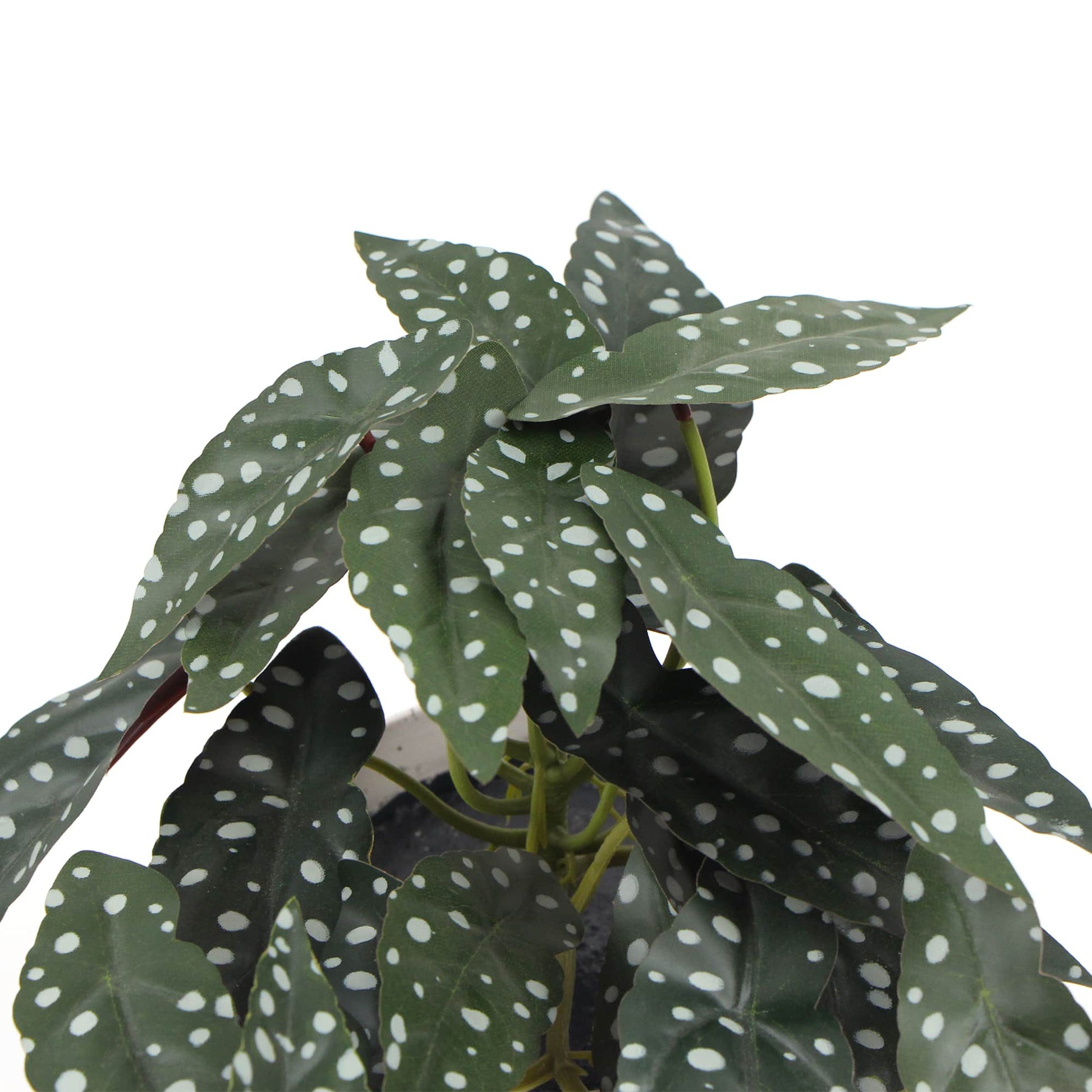 Artificial Bergonia Plant In Decorative Bowl 30cm Home & Garden > Artificial Plants ArtificialPlantBarn.com.au 