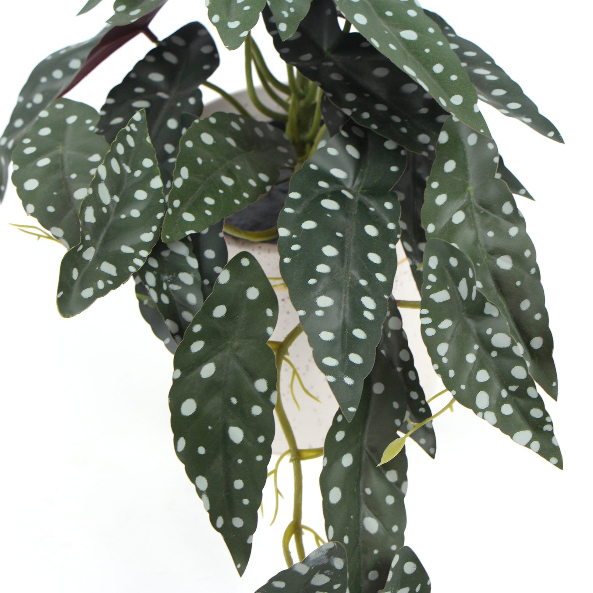 Artificial Bergonia Plant In Decorative Bowl 30cm Home & Garden > Artificial Plants ArtificialPlantBarn.com.au 