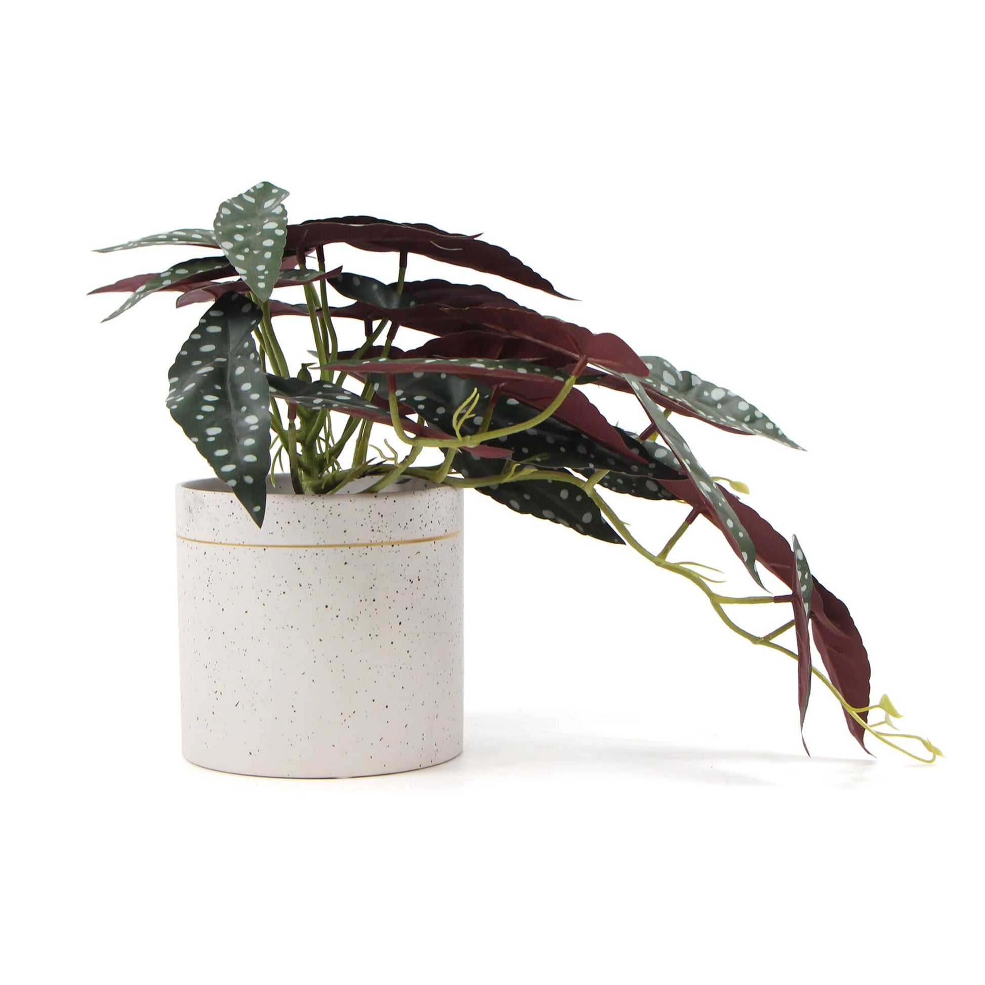 Artificial Bergonia Plant In Decorative Bowl 30cm Home & Garden > Artificial Plants ArtificialPlantBarn.com.au 