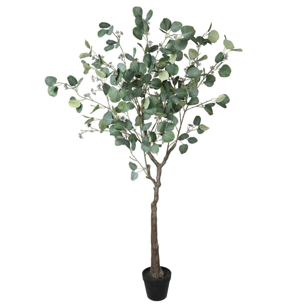 Artificial Eucalyptus Tree (Red Box Eucalyptus Polyanthemos) 150cm Home & Garden > Artificial Plants ArtificialPlantBarn.com.au 