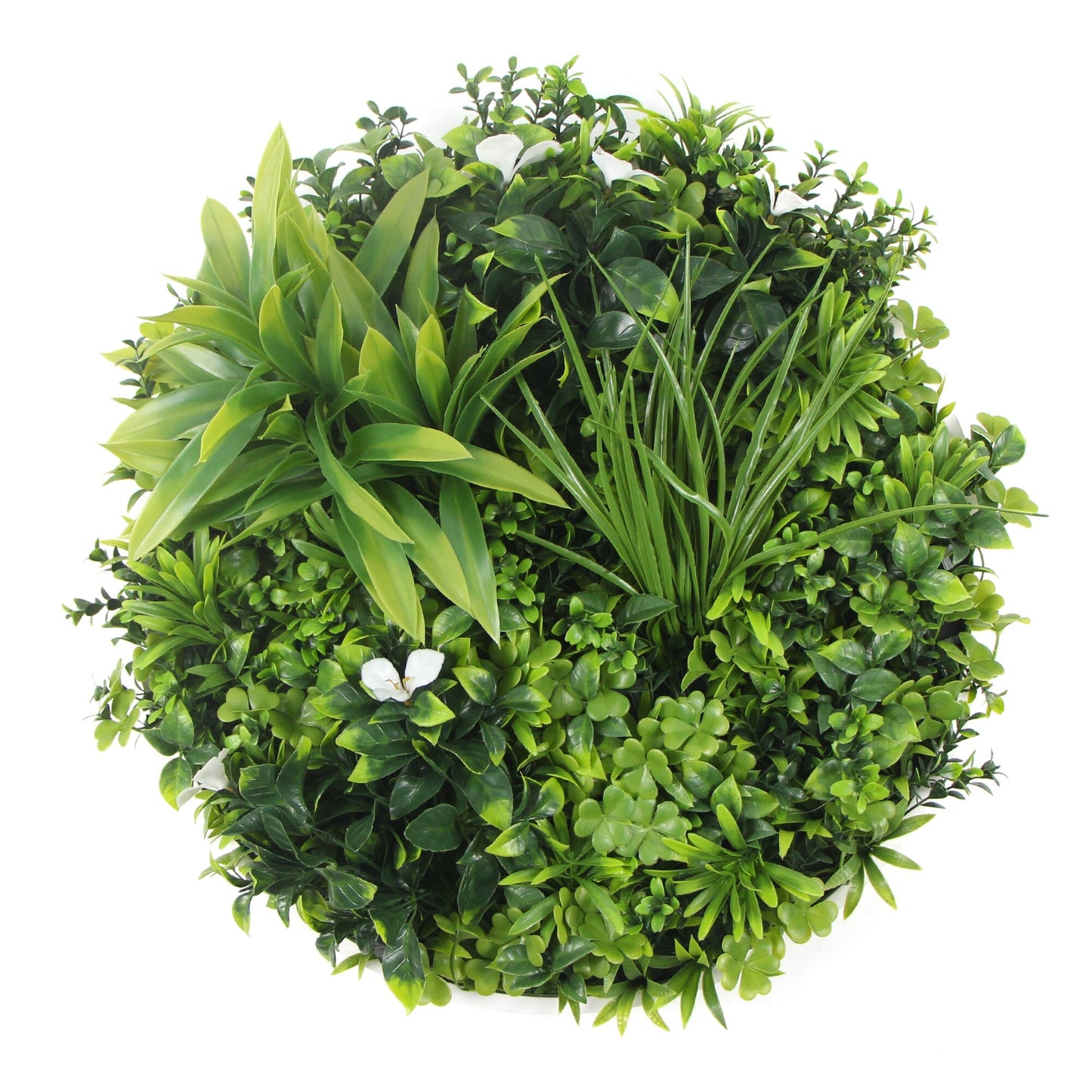 Flowering White Artificial Green Wall Disc UV Resistant 75cm (White Frame) Home & Garden > Artificial Plants ArtificialPlantBarn.com.au 