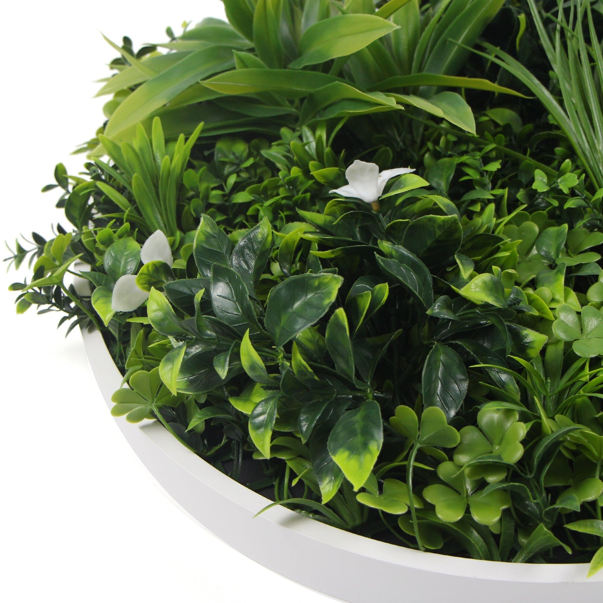 Flowering White Artificial Green Wall Disc UV Resistant 75cm (White Frame) Home & Garden > Artificial Plants ArtificialPlantBarn.com.au 