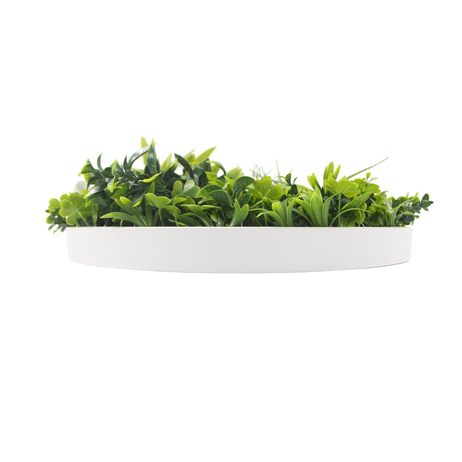 Flowering White Artificial Green Wall Disc UV Resistant 75cm (White Frame) Home & Garden > Artificial Plants ArtificialPlantBarn.com.au 