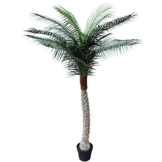 Tropical Phoenix Palm Tree 170cm UV Resistant Home & Garden > Artificial Plants ArtificialPlantBarn.com.au 