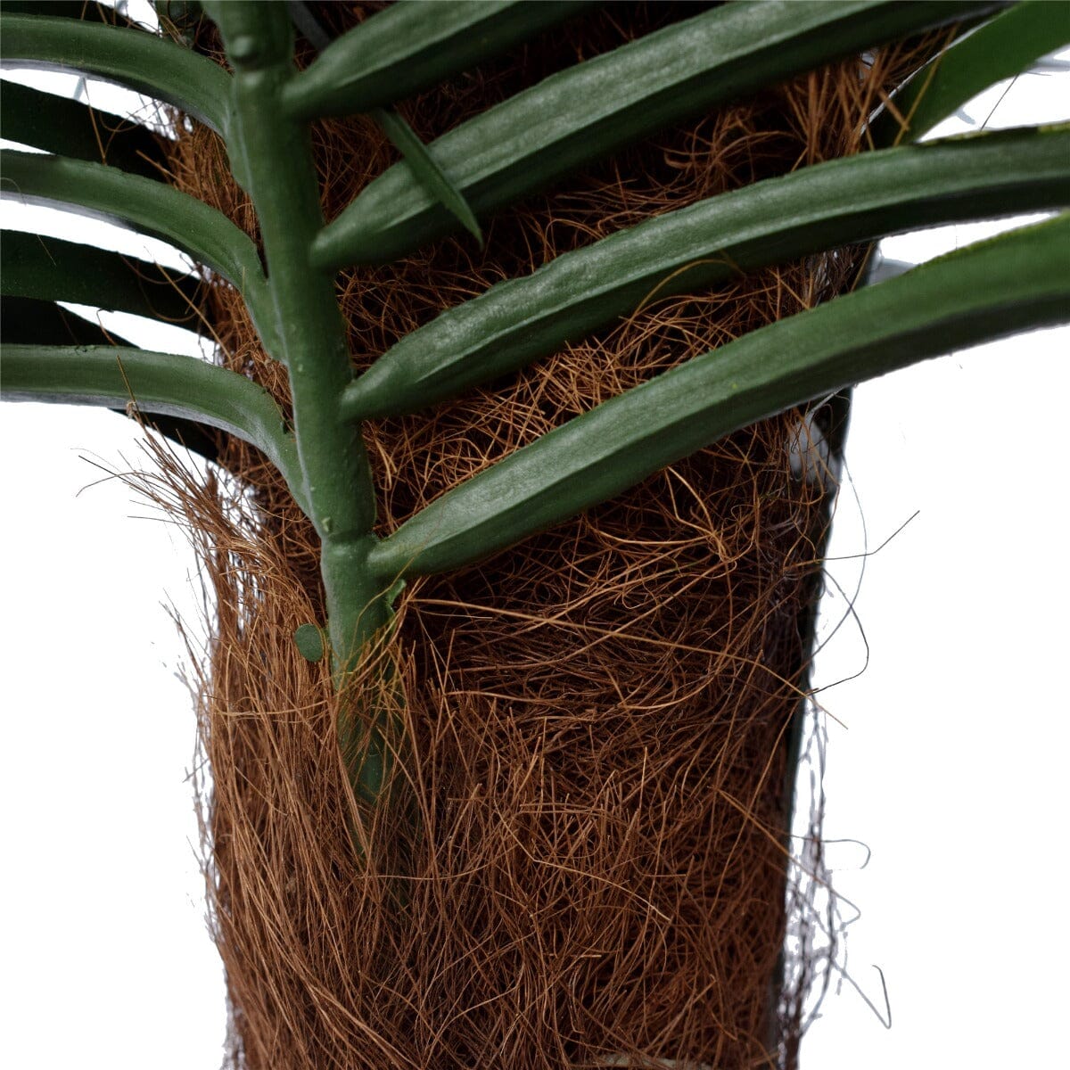 Tropical Phoenix Palm Tree 170cm UV Resistant Home & Garden > Artificial Plants ArtificialPlantBarn.com.au 