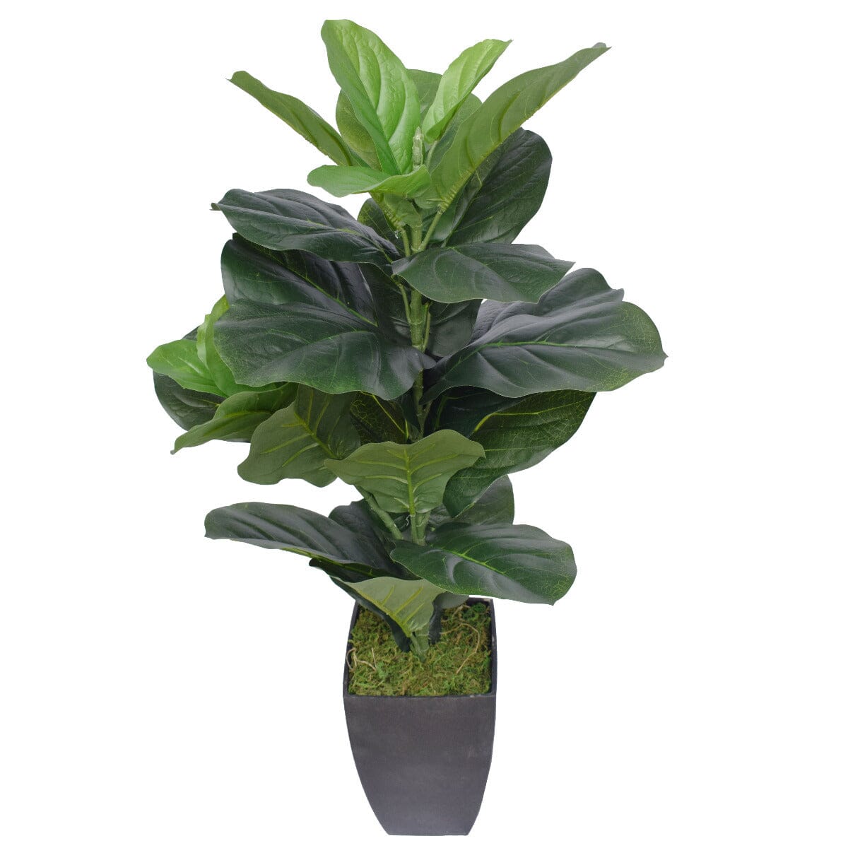 Dense Fiddle Leaf Fig Tree 70cm Home & Garden ArtificialPlantBarn.com.au 