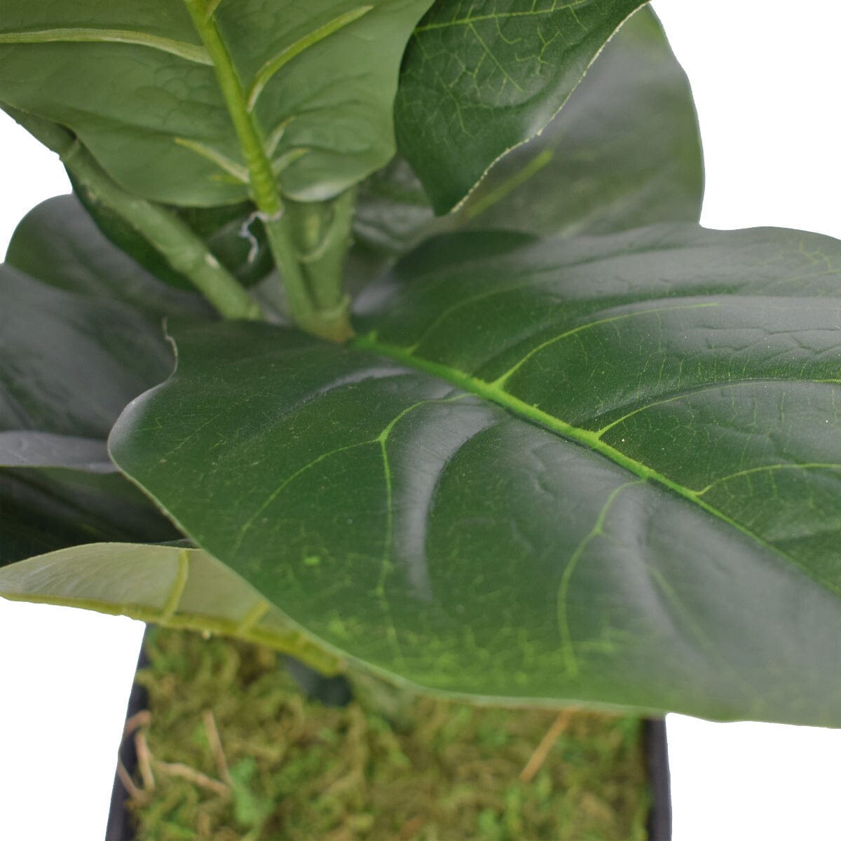 Dense Fiddle Leaf Fig Tree 70cm Home & Garden ArtificialPlantBarn.com.au 