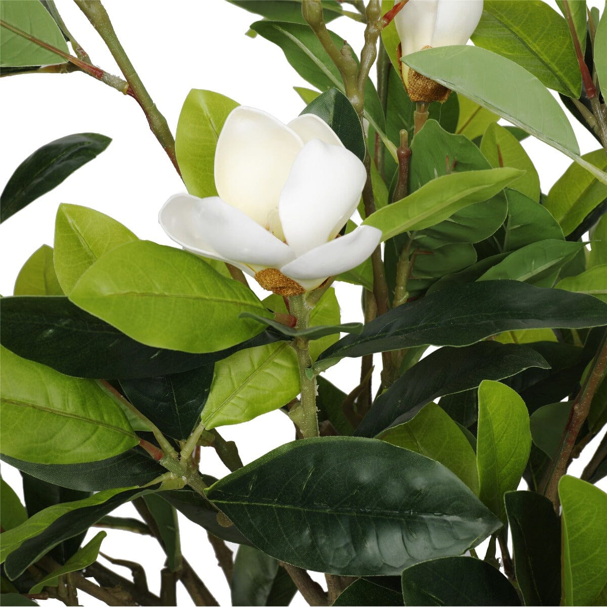 Faux White Flowering Magnolia Tree with Pot 130cm Home & Garden ArtificialPlantBarn.com.au 