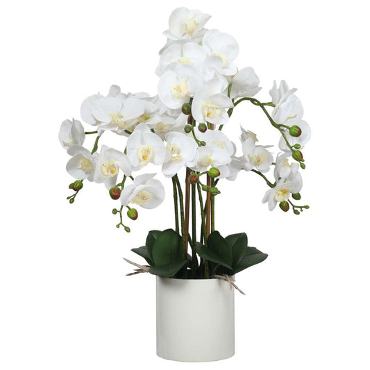 Large Multi-Stem White Potted Faux Orchid 65cm Home & Garden ArtificialPlantBarn.com.au 