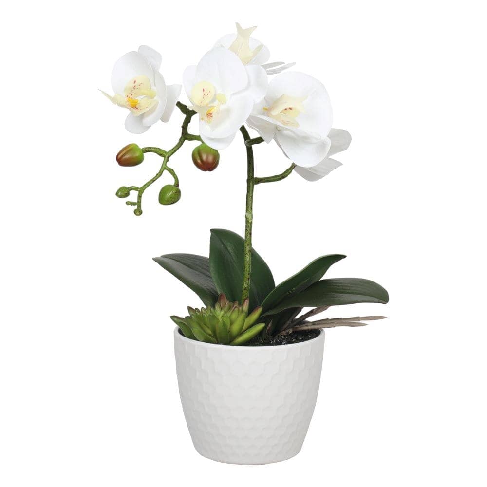 Potted Single Stem White Phalaenopsis Orchid with Decorative Pot 35cm Home & Garden ArtificialPlantBarn.com.au 