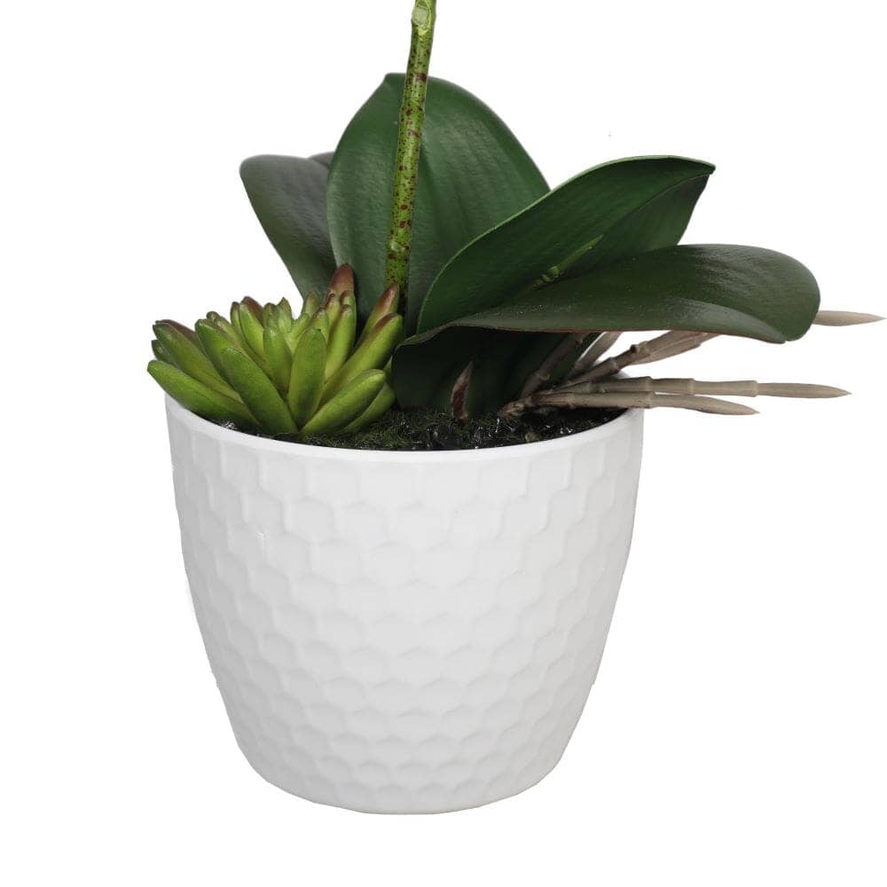 Potted Single Stem White Phalaenopsis Orchid with Decorative Pot 35cm Home & Garden ArtificialPlantBarn.com.au 