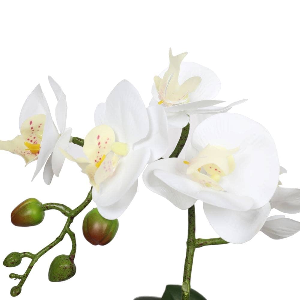 Potted Single Stem White Phalaenopsis Orchid with Decorative Pot 35cm Home & Garden ArtificialPlantBarn.com.au 