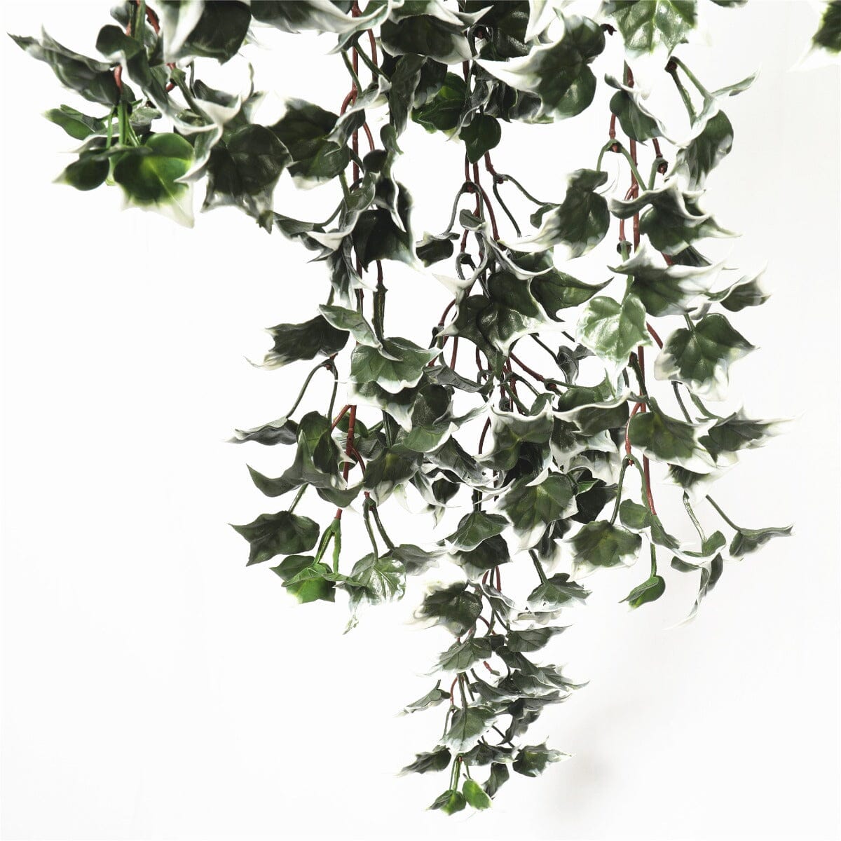 Mixed Green and White Tipped Ivy Bush 80cm UV Resistant Home & Garden ArtificialPlantBarn.com.au 