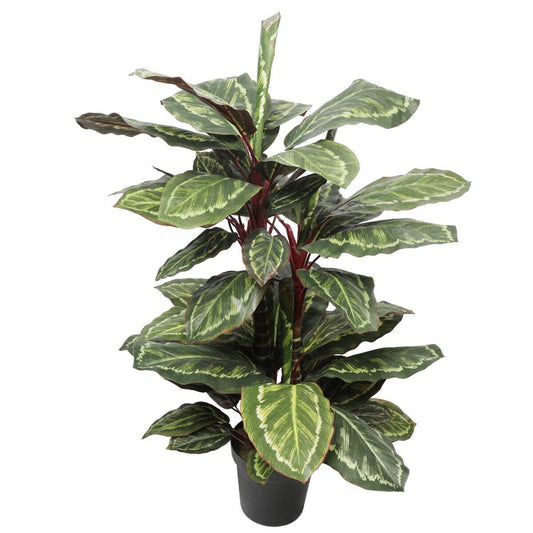 Artificial Wide Leaf Cordyline Plant 90cm Home & Garden ArtificialPlantBarn.com.au 