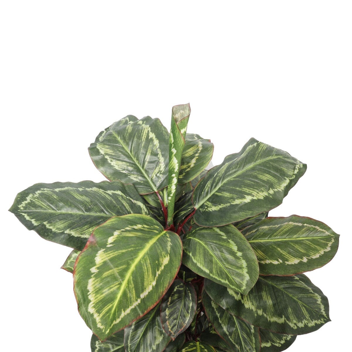 Artificial Wide Leaf Cordyline Plant 90cm Home & Garden ArtificialPlantBarn.com.au 