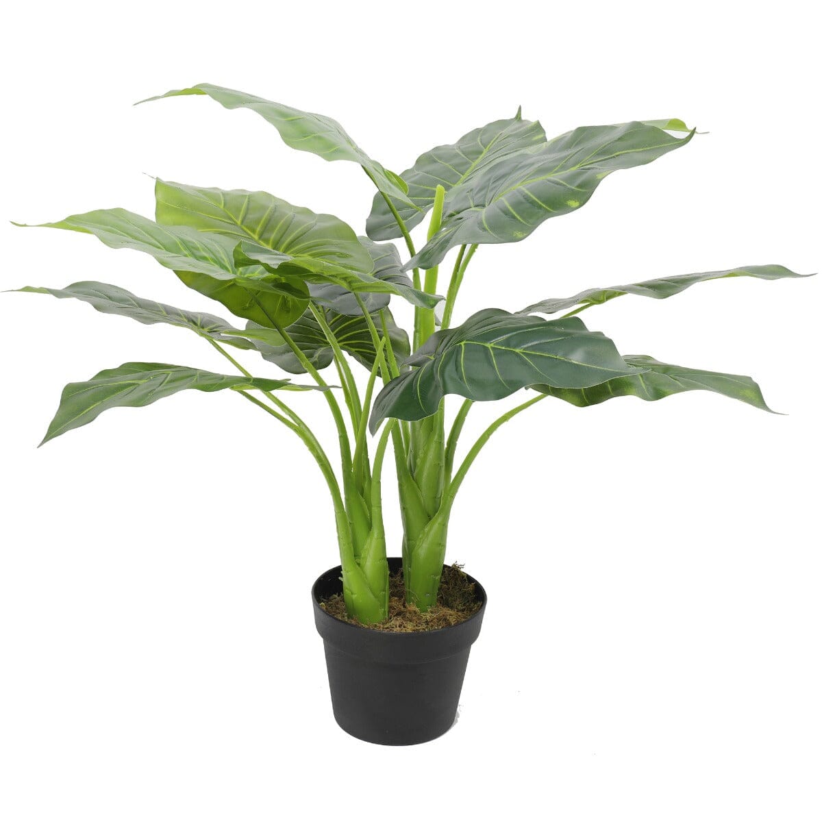 Artificial Potted Taro Plant / Elephant Ear 70cm Home & Garden > Artificial Plants ArtificialPlantBarn.com.au 