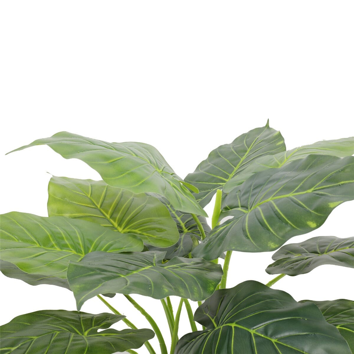 Artificial Potted Taro Plant / Elephant Ear 70cm Home & Garden > Artificial Plants ArtificialPlantBarn.com.au 