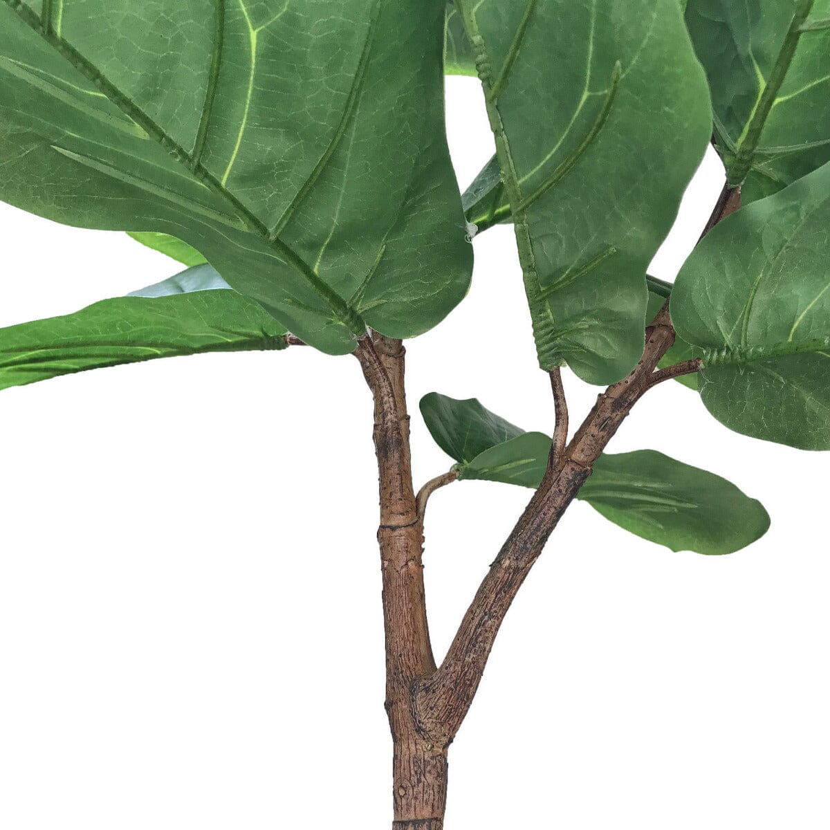 Tall Artificial Fiddle Leaf Fig 170cm Home & Garden ArtificialPlantBarn.com.au 