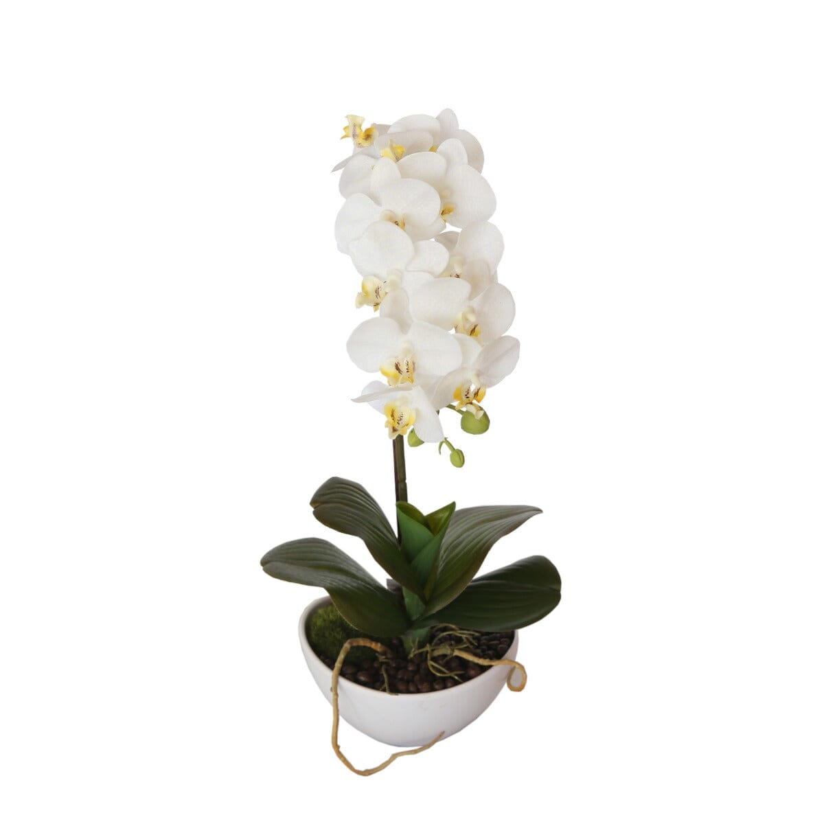 46cm Butterfly Orchid - White Home & Garden ArtificialPlantBarn.com.au 