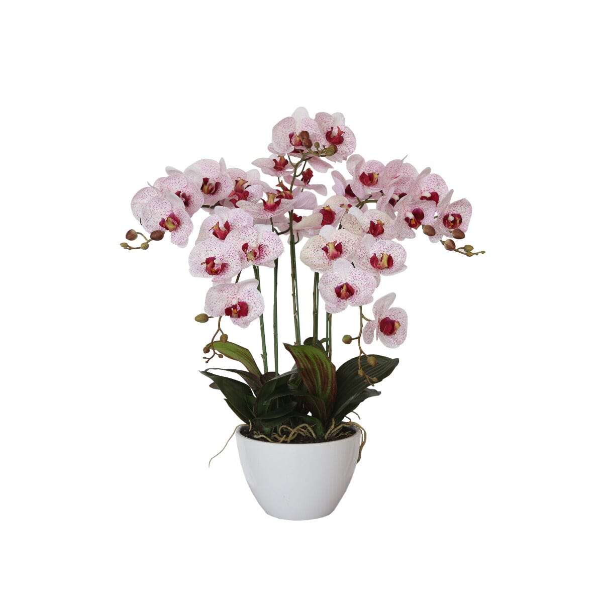 66cm Multi Butterfly Orchid - Pink Home & Garden ArtificialPlantBarn.com.au 