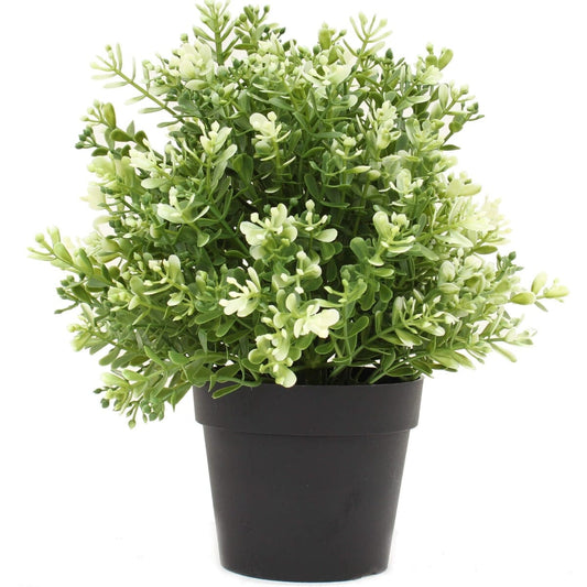 Small Potted Artificial White Jade Plant UV Resistant 20cm Home & Garden > Artificial Plants ArtificialPlantBarn.com.au 