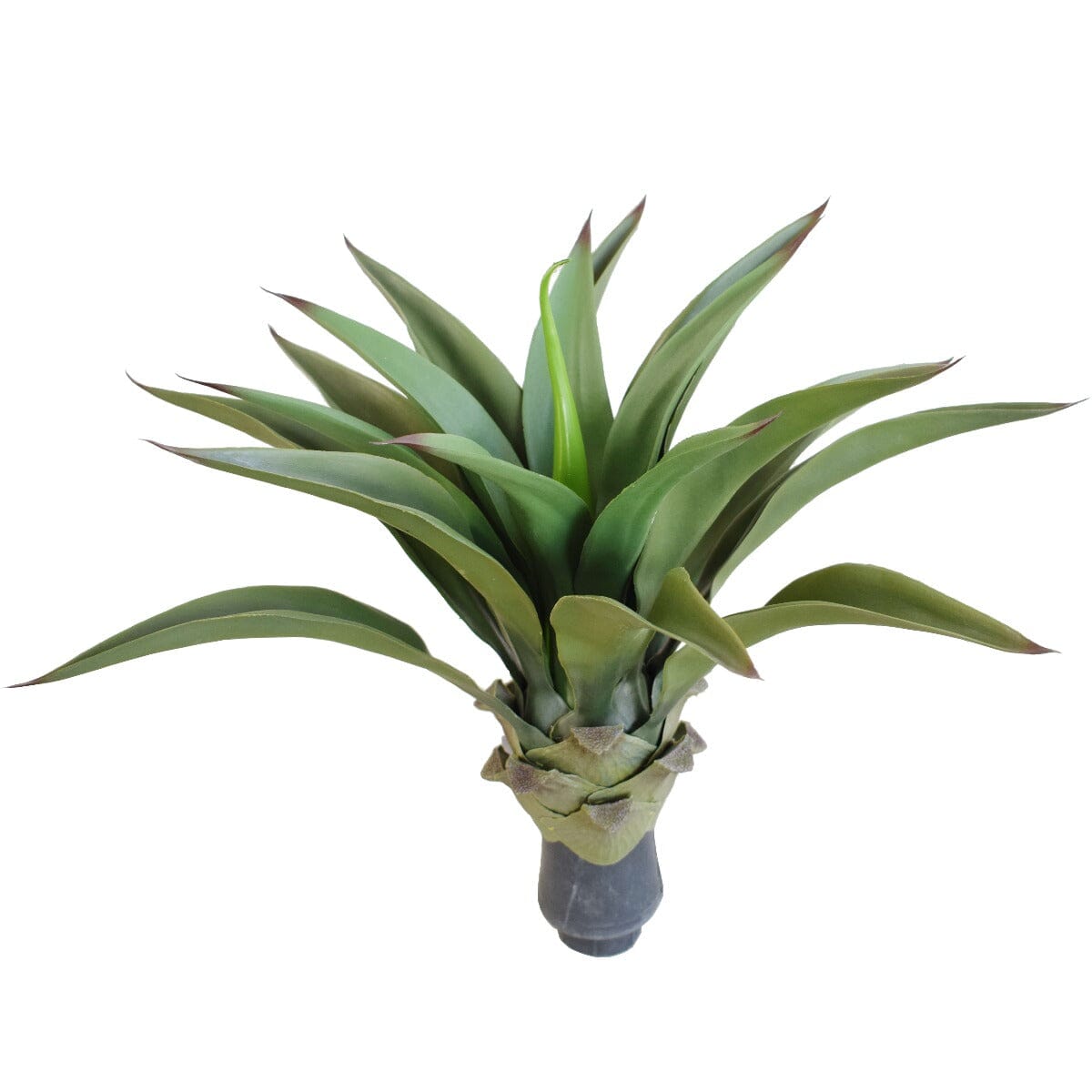 UV Agave 50cm No Pot Home & Garden ArtificialPlantBarn.com.au 